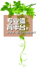 专业体育平台，尽享赛事激情 - 爱体育